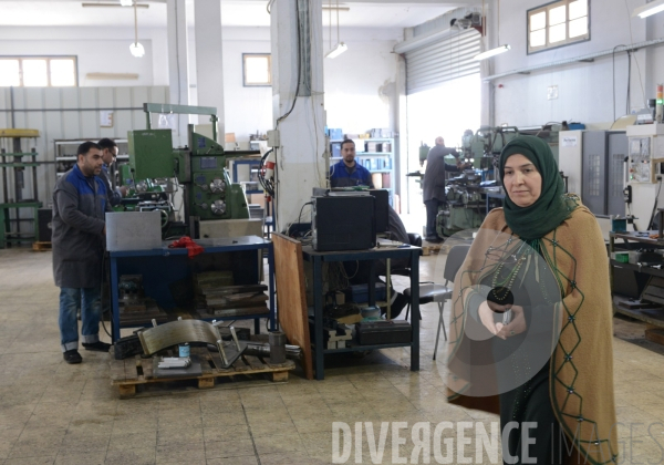 Paroles de Tunisiennes. Femmes tunisiennes exerçants des responsabilités, dirigeantes d entreprises