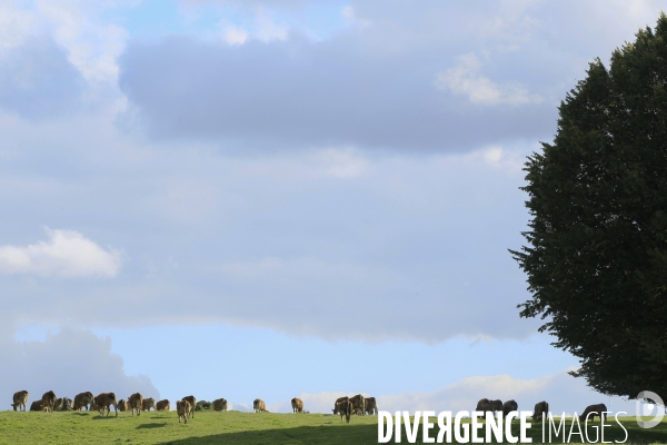 Paysages et villages de Thierache (Aisne)