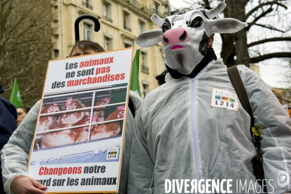 Manifestationdevant l Assemblee nationale  contre l  usine des 1000 vaches