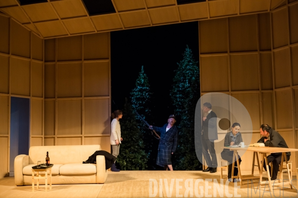 Le Canard sauvage / Henrik Ibsen -  Stéphane Braunschweig