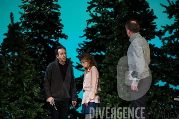 Le Canard sauvage / Henrik Ibsen -  Stéphane Braunschweig