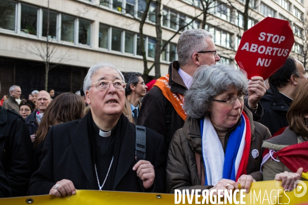 Manifestation anti-IVG, Paris