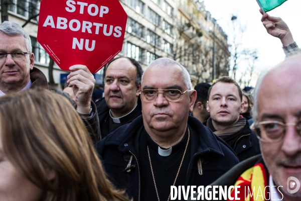 Manifestation anti-IVG, Paris