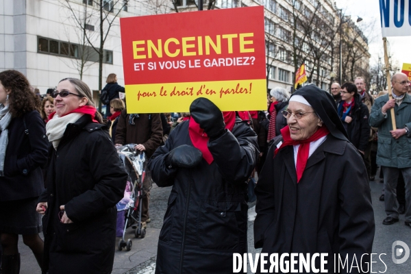 Manifestation anti-IVG, Paris