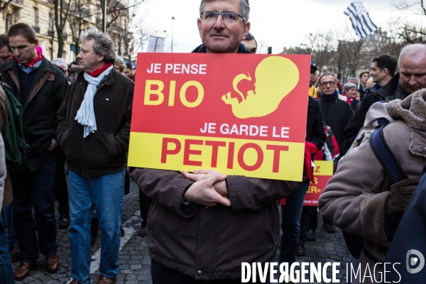 Manifestation anti-IVG, Paris