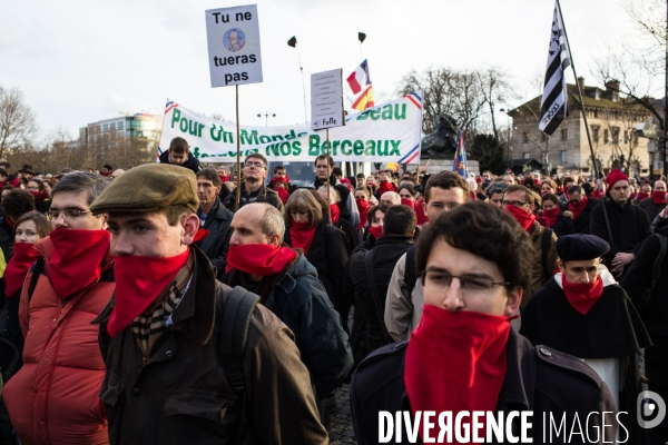 Manifestation anti-IVG, Paris