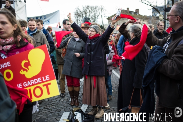 Manifestation anti-IVG, Paris