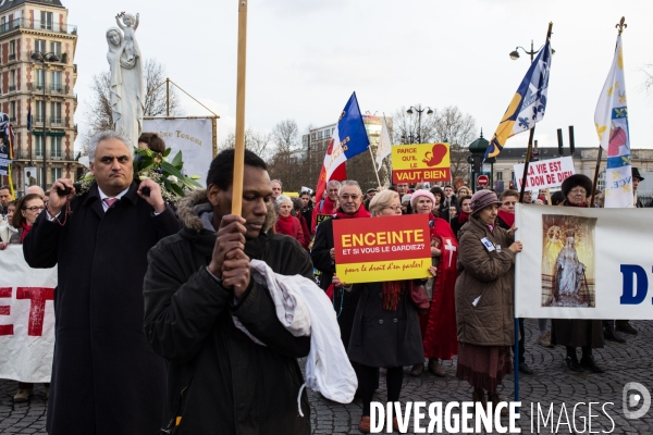 Manifestation anti-IVG, Paris