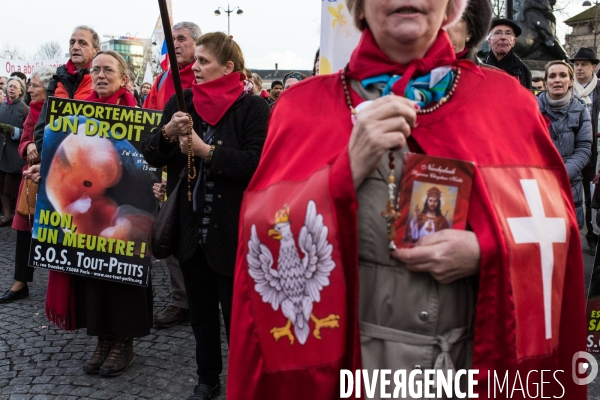 Manifestation anti-IVG, Paris