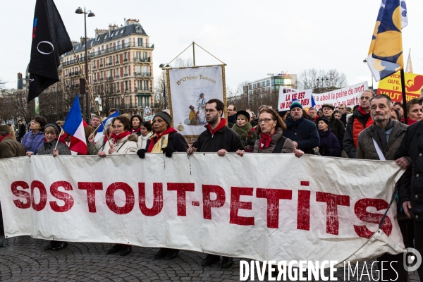 Manifestation anti-IVG, Paris