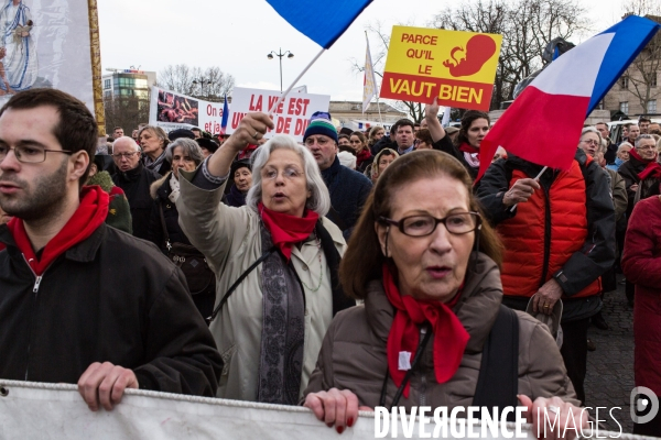 Manifestation anti-IVG, Paris