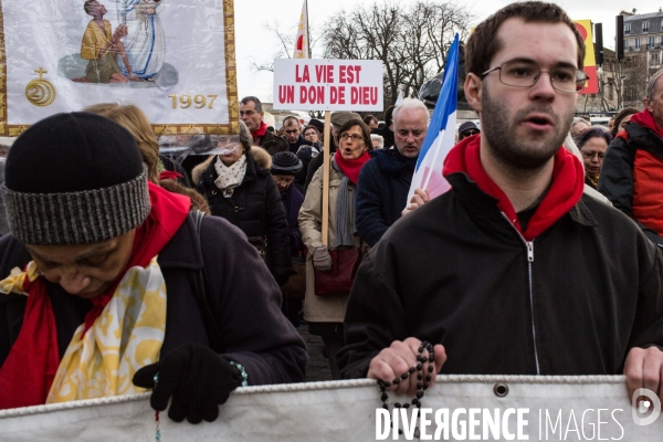 Manifestation anti-IVG, Paris