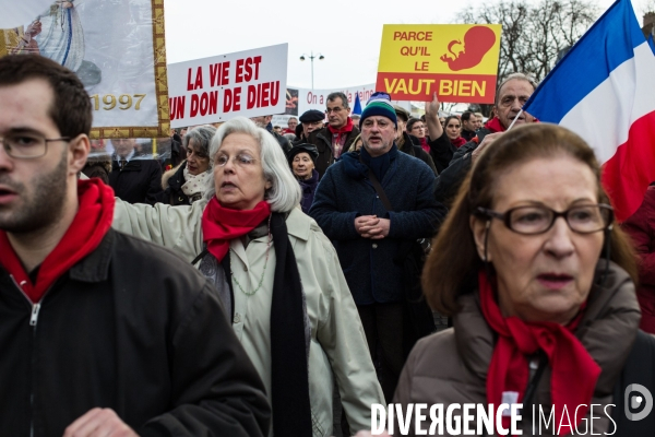 Manifestation anti-IVG, Paris