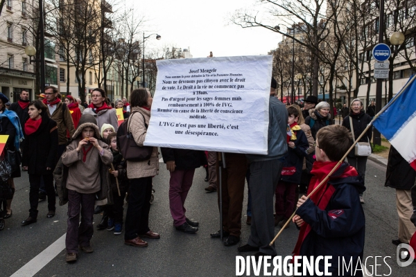 Manifestation anti-IVG, Paris