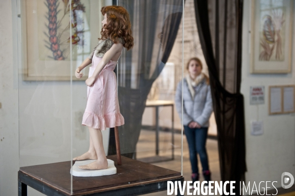 Le Museum of Everything