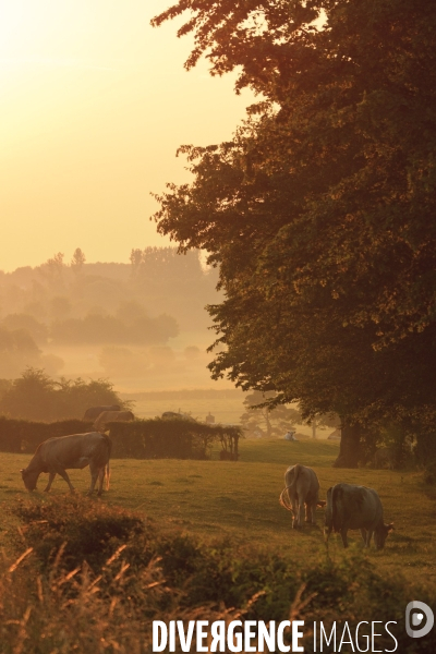 Paysages et villages de l Avesnois (Nord)