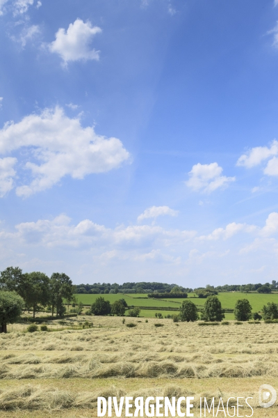 Paysages et villages de l Avesnois (Nord)