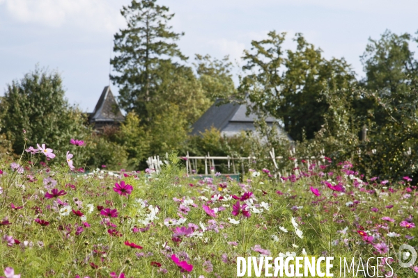 Paysages et villages de l Avesnois (Nord)