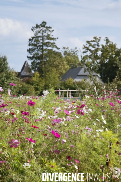 Paysages et villages de l Avesnois (Nord)