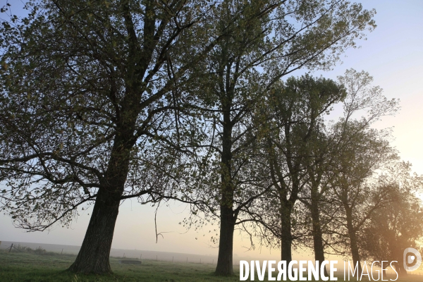 Paysages et villages de l Avesnois (Nord)