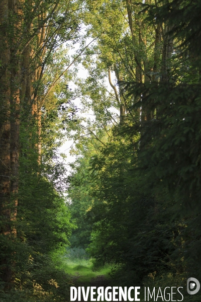 Paysages et villages de l Avesnois (Nord)