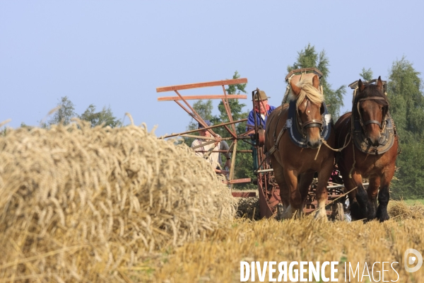 Folklore et traditions en Flandre (Nord)