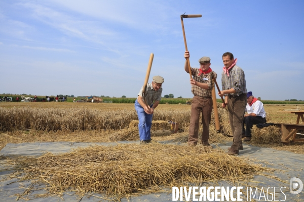 Folklore et traditions en Flandre (Nord)