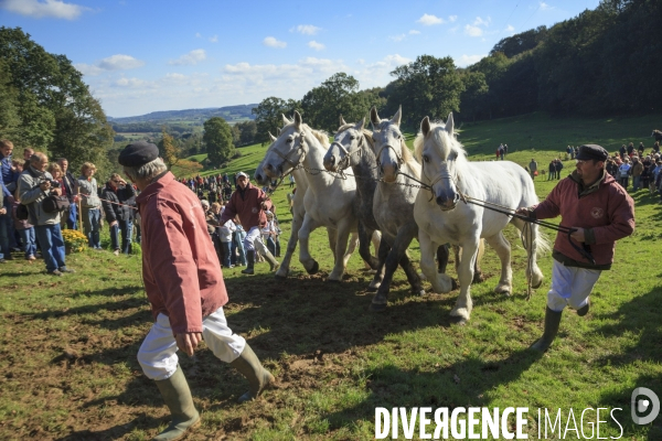 Folklore et traditions en Flandre (Nord)