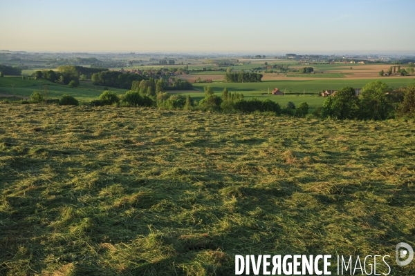 Paysages et villages des Flandres (departement du Nord)