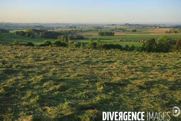 Paysages et villages des Flandres (departement du Nord)