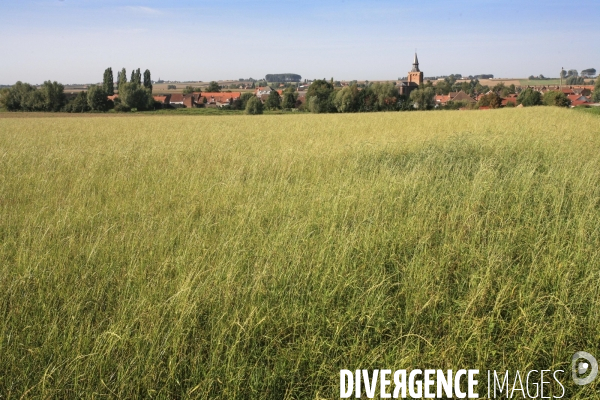 Paysages et villages des Flandres (departement du Nord)