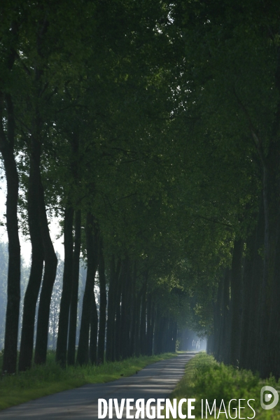 Paysages et villages des Flandres (departement du Nord)