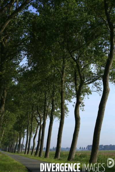 Paysages et villages des Flandres (departement du Nord)