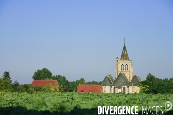 Paysages et villages des Flandres (departement du Nord)