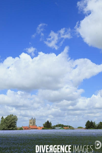 Paysages et villages des Flandres (departement du Nord)