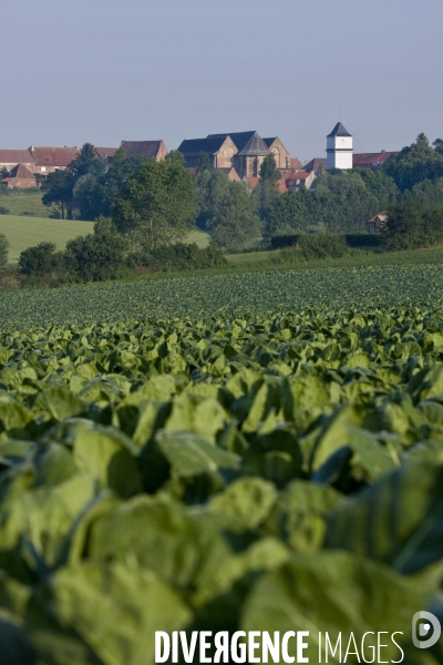 Paysages et villages des Flandres (departement du Nord)