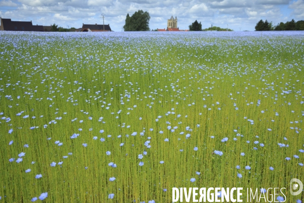 Paysages et villages des Flandres (departement du Nord)