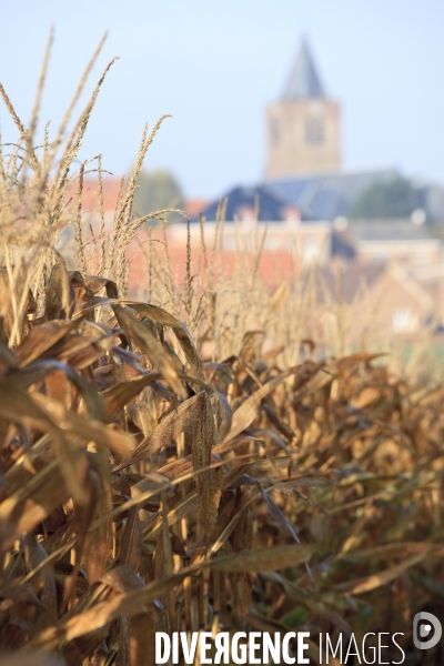 Paysages et villages des Flandres (departement du Nord)