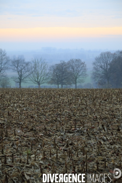 Paysages et villages des Flandres (departement du Nord)