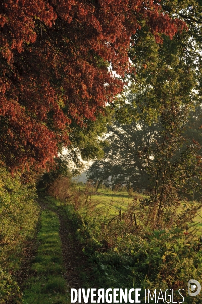 Paysages et villages des Flandres (departement du Nord)