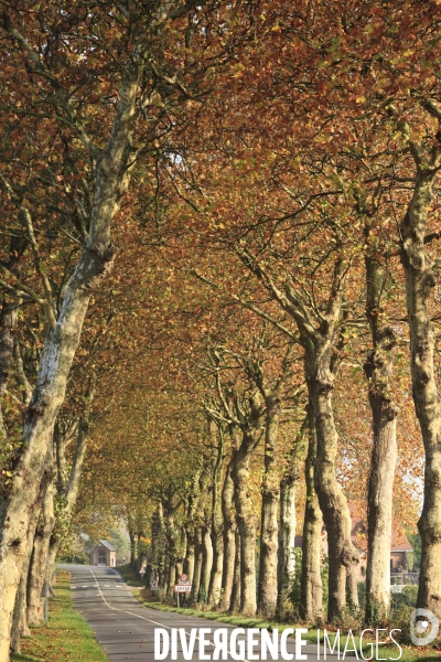 Paysages et villages des Flandres (departement du Nord)