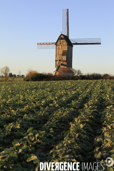 Paysages et villages des Flandres (departement du Nord)