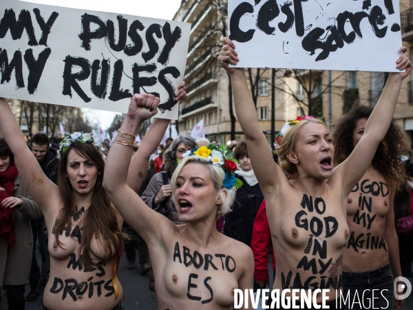 Manifestation pro-IVG, Paris