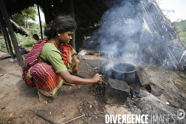 Agriculture dans le sud de l inde