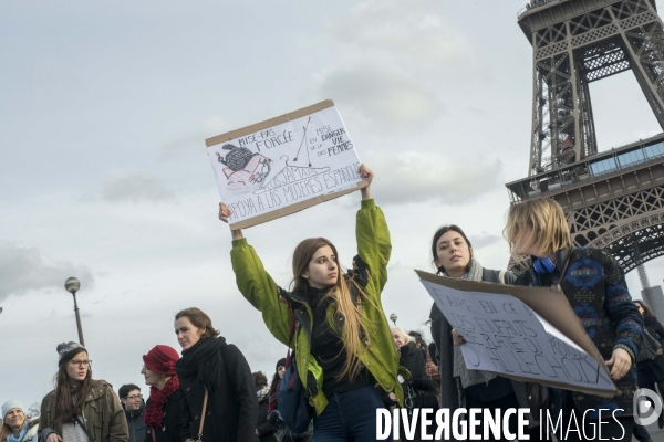 Manifestation Pro-Ivg