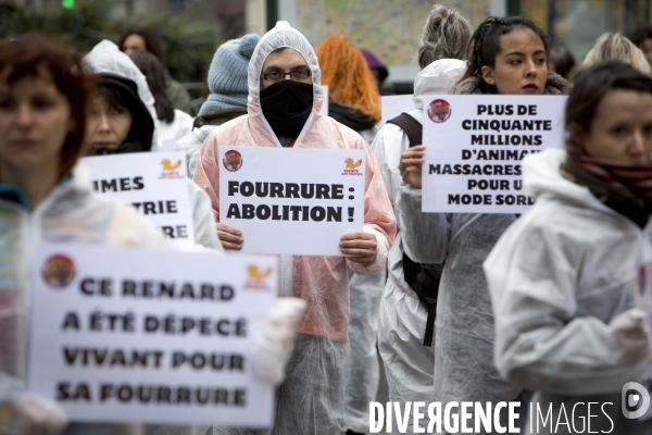 Manifestation de militants de la  Société anti fourrure  portant des cadavres d animaux domestiques contre  Kookai, marque de prêt-à-porter soupçonnée d utiliser de la vraie fourrure pour ses vêtements.