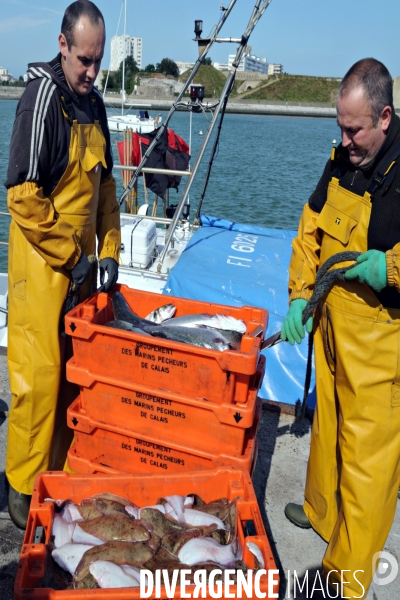 Ports illustration.Retour de pêche et debarquement des casiers de poissons par des marins pêcheurs