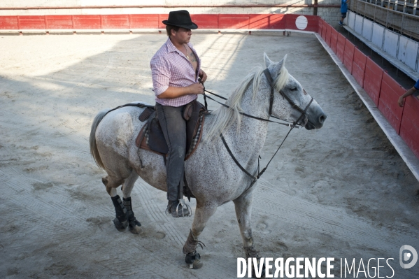 Courses camarguaises et razeteurs à Gallician