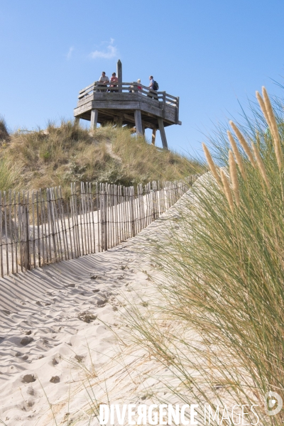 Le Touquet (Pas de Calais)  - Illustrations