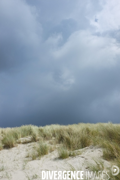 Le Touquet (Pas de Calais)  - Illustrations